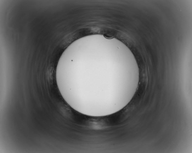 X0000086340275200704202107