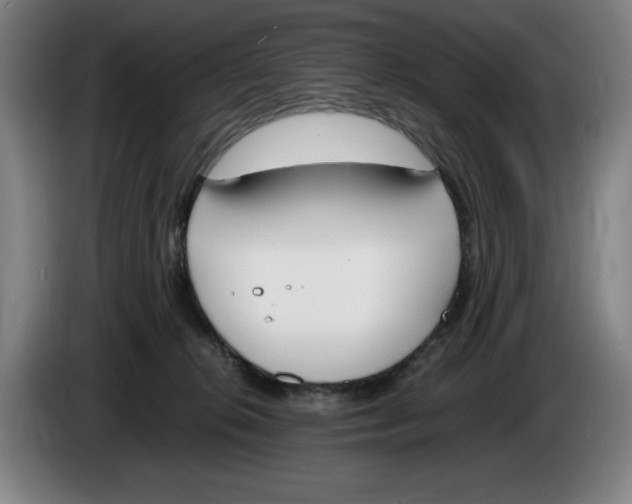 X0000086340276200704202107