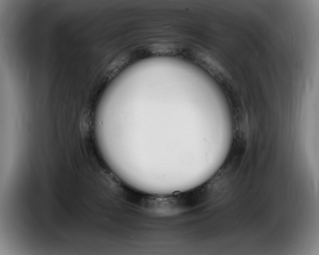 X0000086340277200704202107