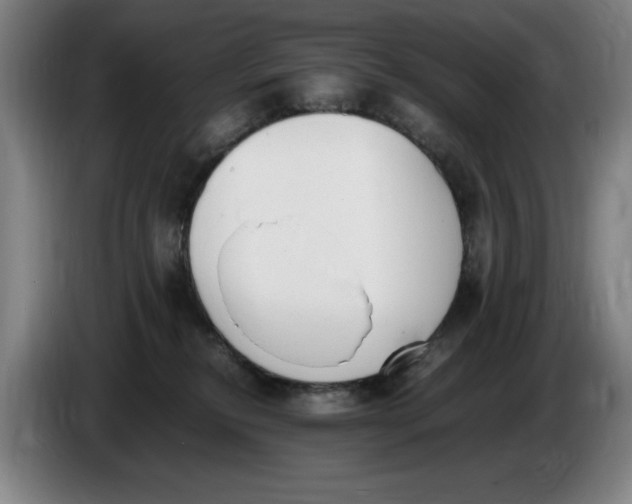 X0000086340278200704202107