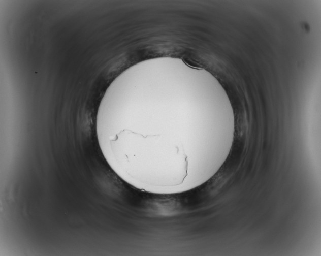 X0000086340279200704202107