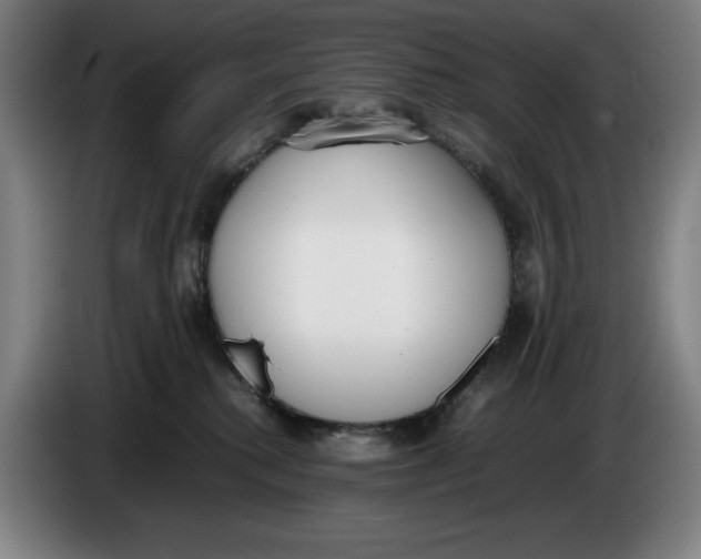 X0000086340280200704202107