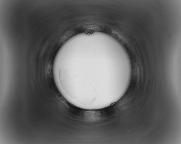 X0000086340281200704202107