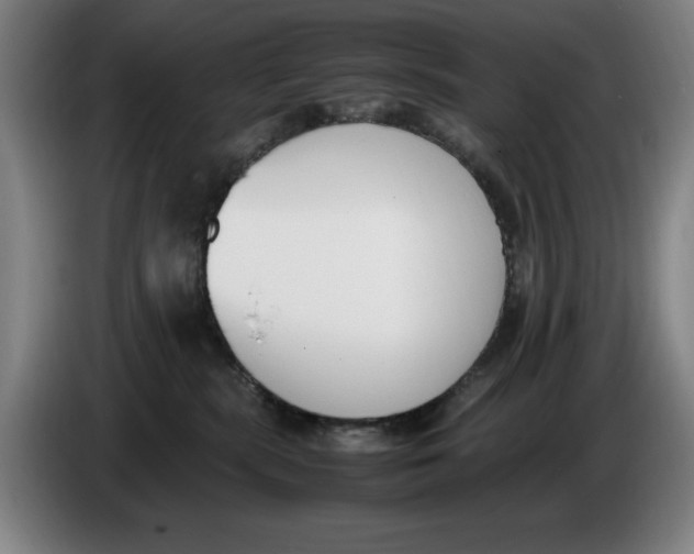 X0000086340283200704202107