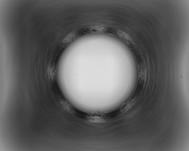 X0000086340285200704202107