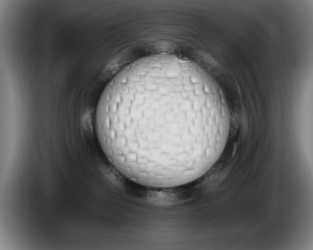 X0000086340286200704202107