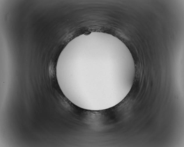 X0000086340287200704202107