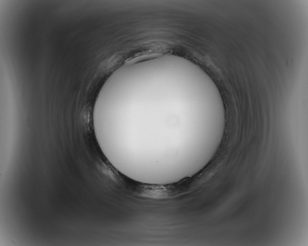 X0000086340288200704202107