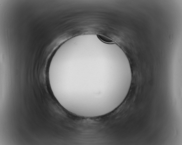 X0000086340290200704202107