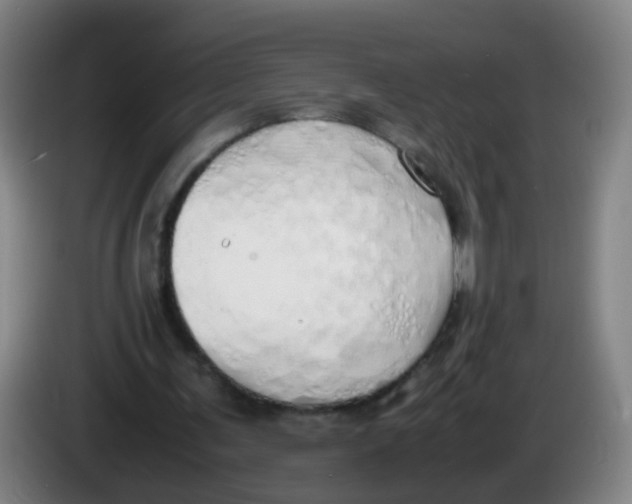 X0000086340291200704202107