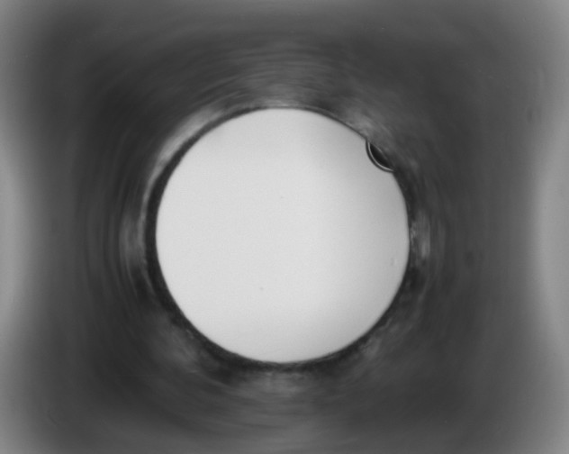 X0000086340292200704202106