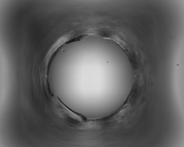 X0000086340293200704202106