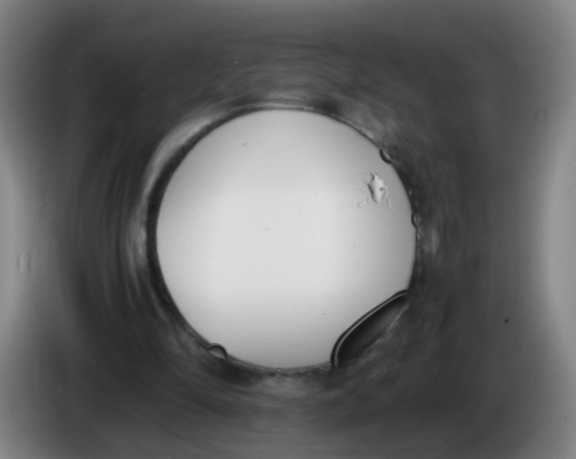 X0000086340294200704202106