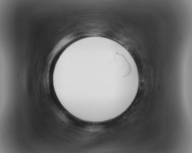 X0000086340296200704202106