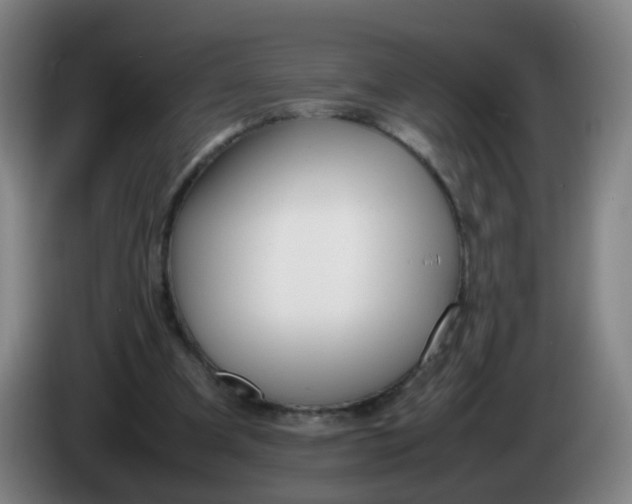 X0000086340297200704202106