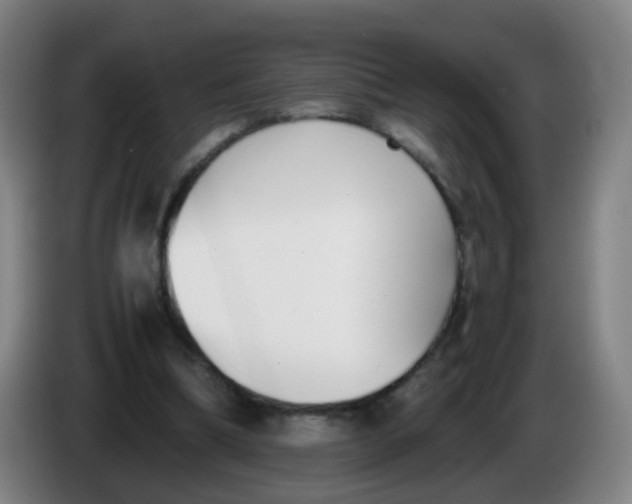 X0000086340298200704202106