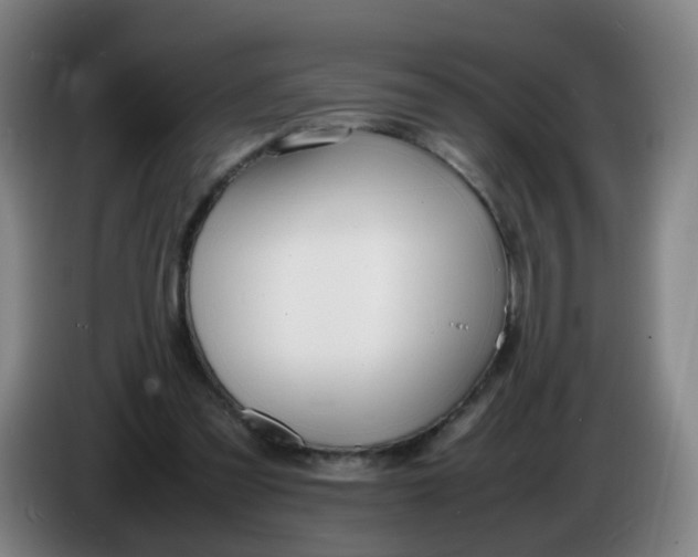 X0000086340301200704202106