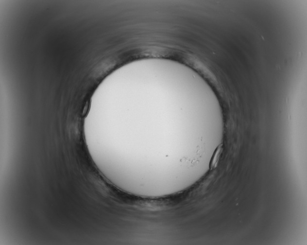 X0000086340305200704202106
