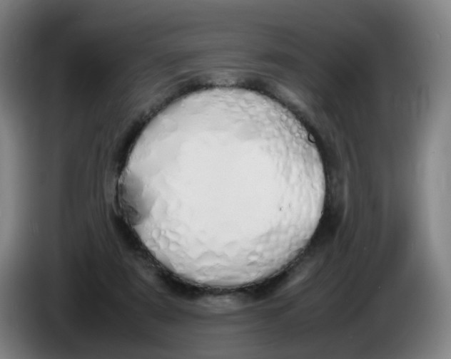X0000086340307200704202106
