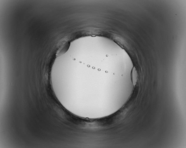 X0000086340309200704202106