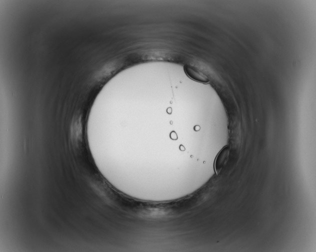 X0000086340310200704202106