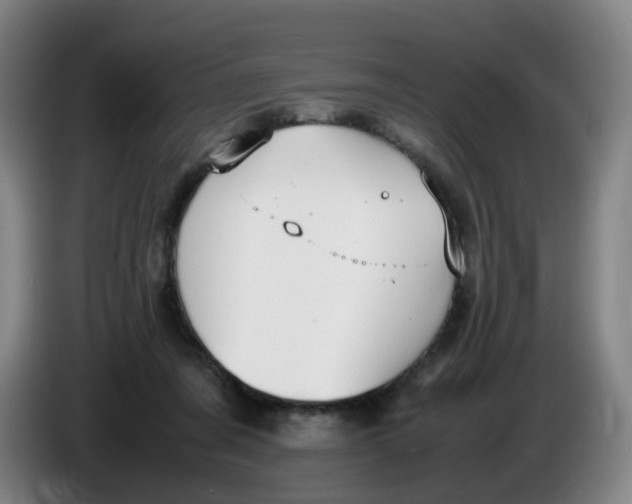 X0000086340311200704202106