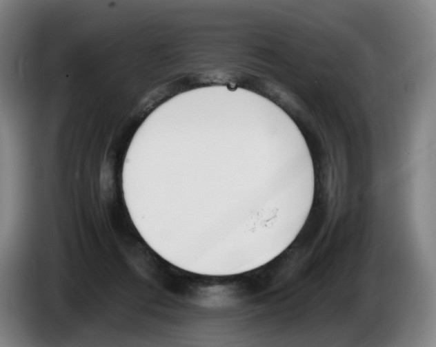 X0000086340312200704202106