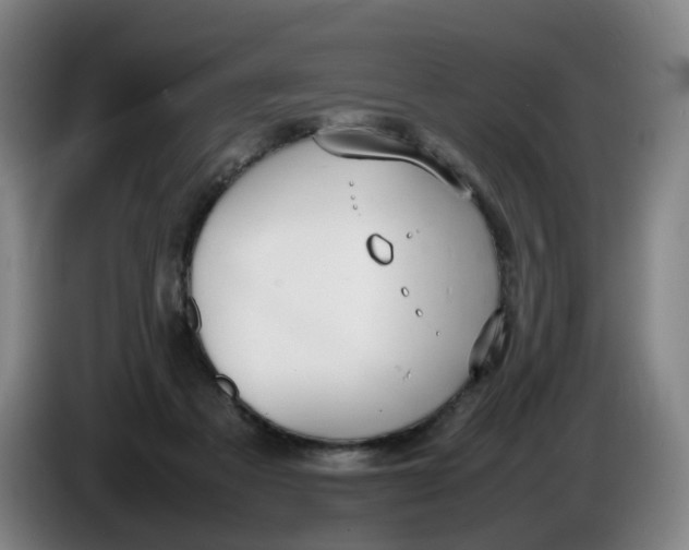 X0000086340313200704202106