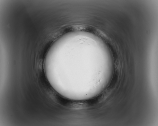 X0000086340315200704202106