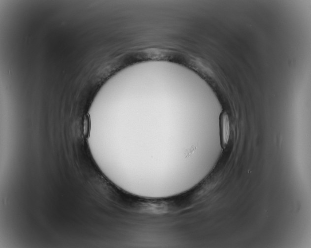 X0000086340317200704202106