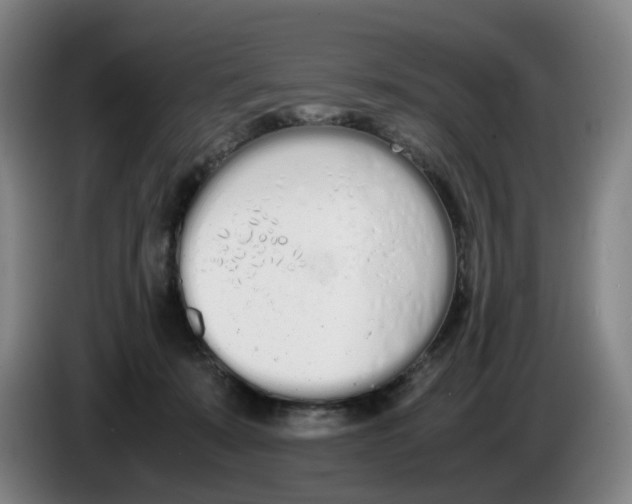 X0000086340319200704202106