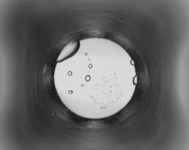 X0000086340320200704202106