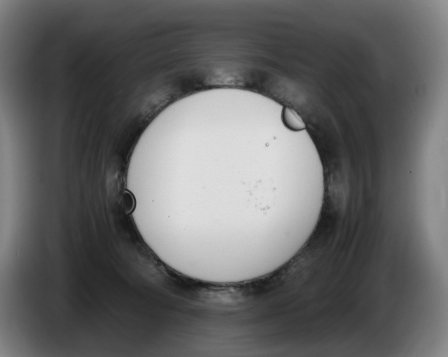 X0000086340322200704202106