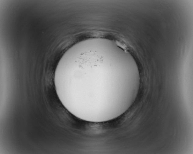 X0000086340325200704202106