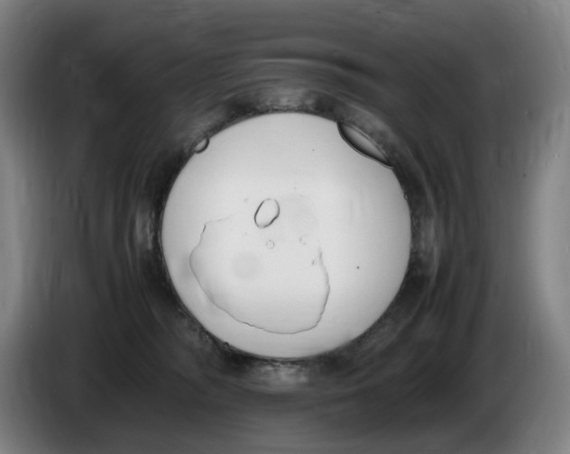 X0000086340326200704202106