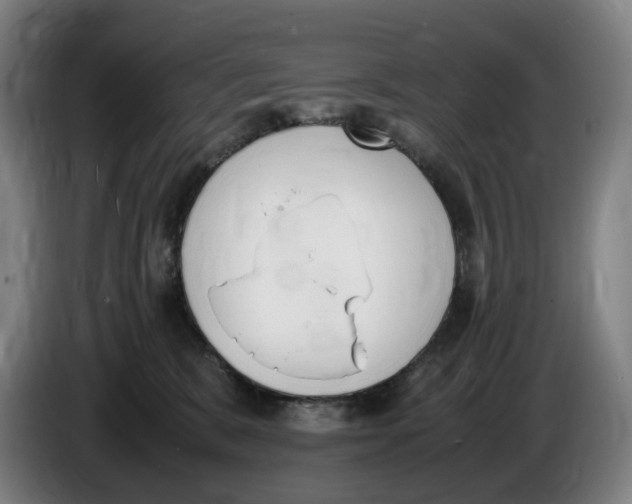 X0000086340327200704202106