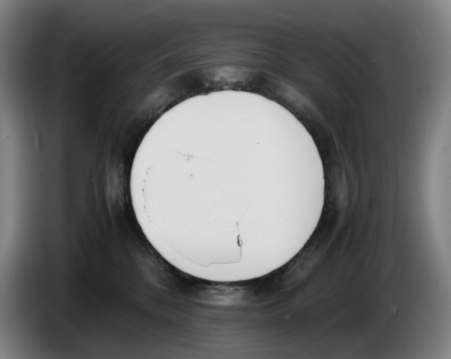 X0000086340328200704202106