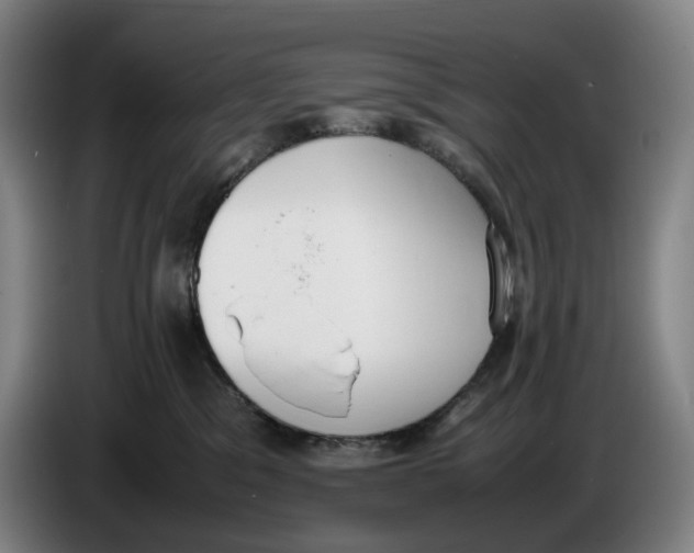 X0000086340329200704202106