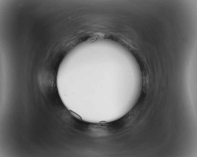 X0000086340331200704202106