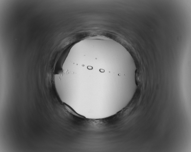 X0000086340333200704202106