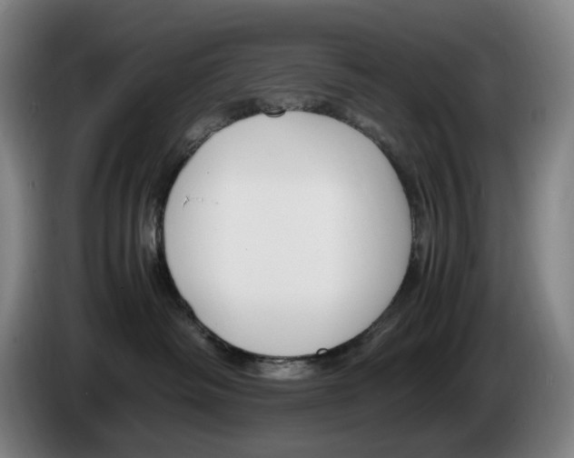 X0000086340334200704202106