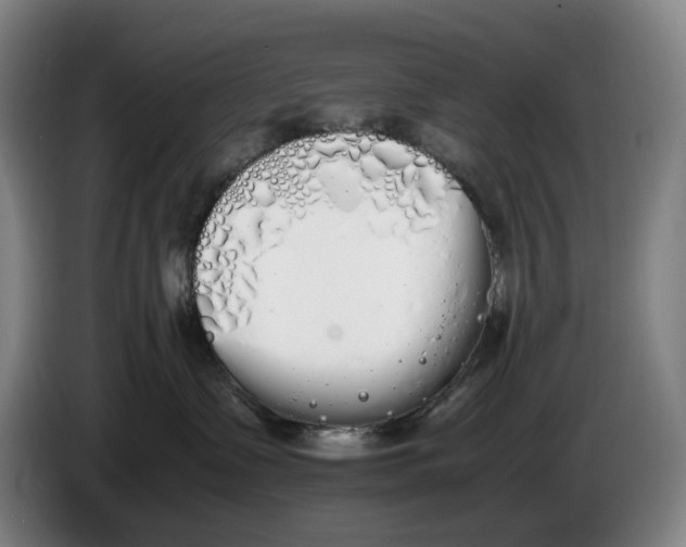 X0000086340335200704202106