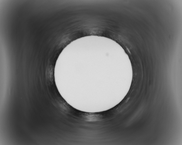 X0000086340336200704202106