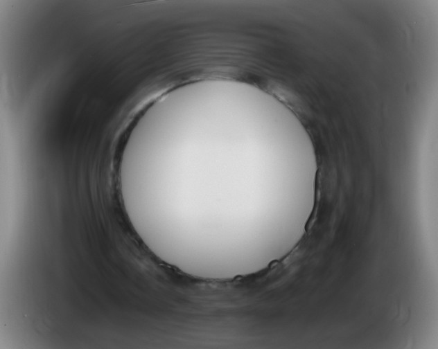 X0000086340338200704202105