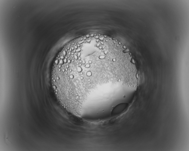 X0000086340339200704202105