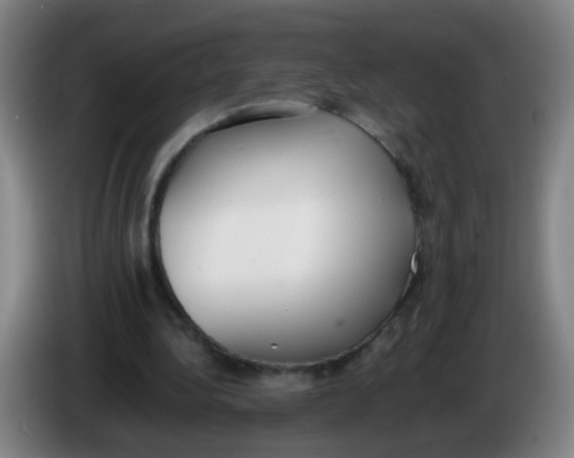 X0000086340340200704202105