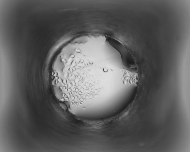 X0000086340343200704202105
