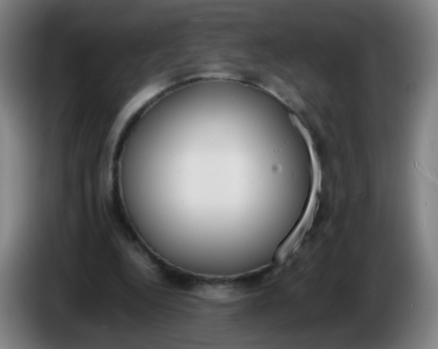 X0000086340344200704202105