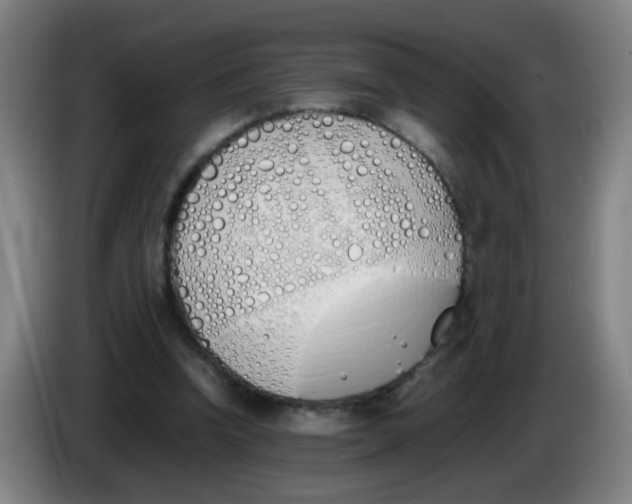 X0000086340346200704202105
