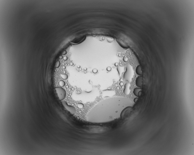 X0000086340347200704202105